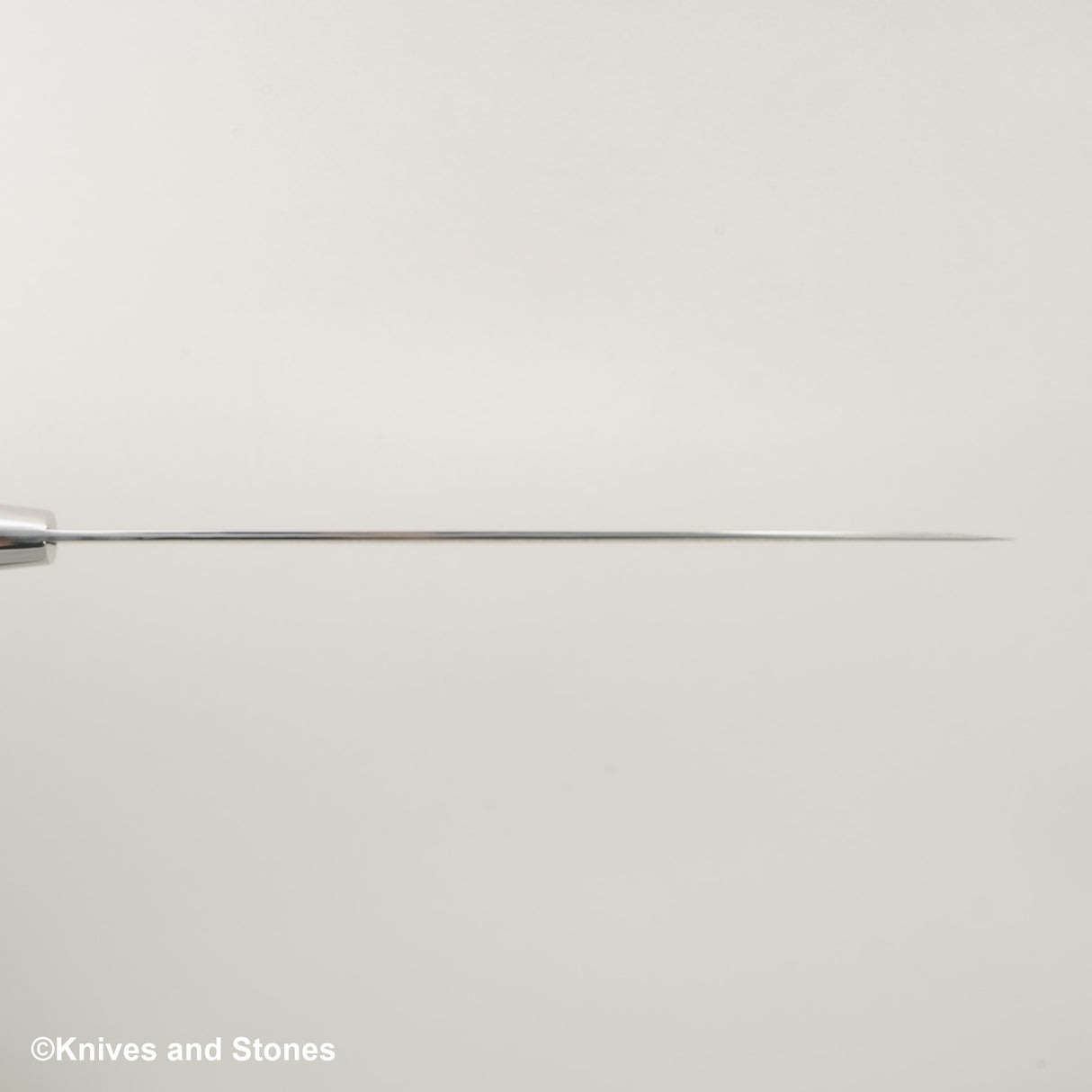 Takeshi Saji SG2 黑色大馬士革牛刀 210 毫米鐵木