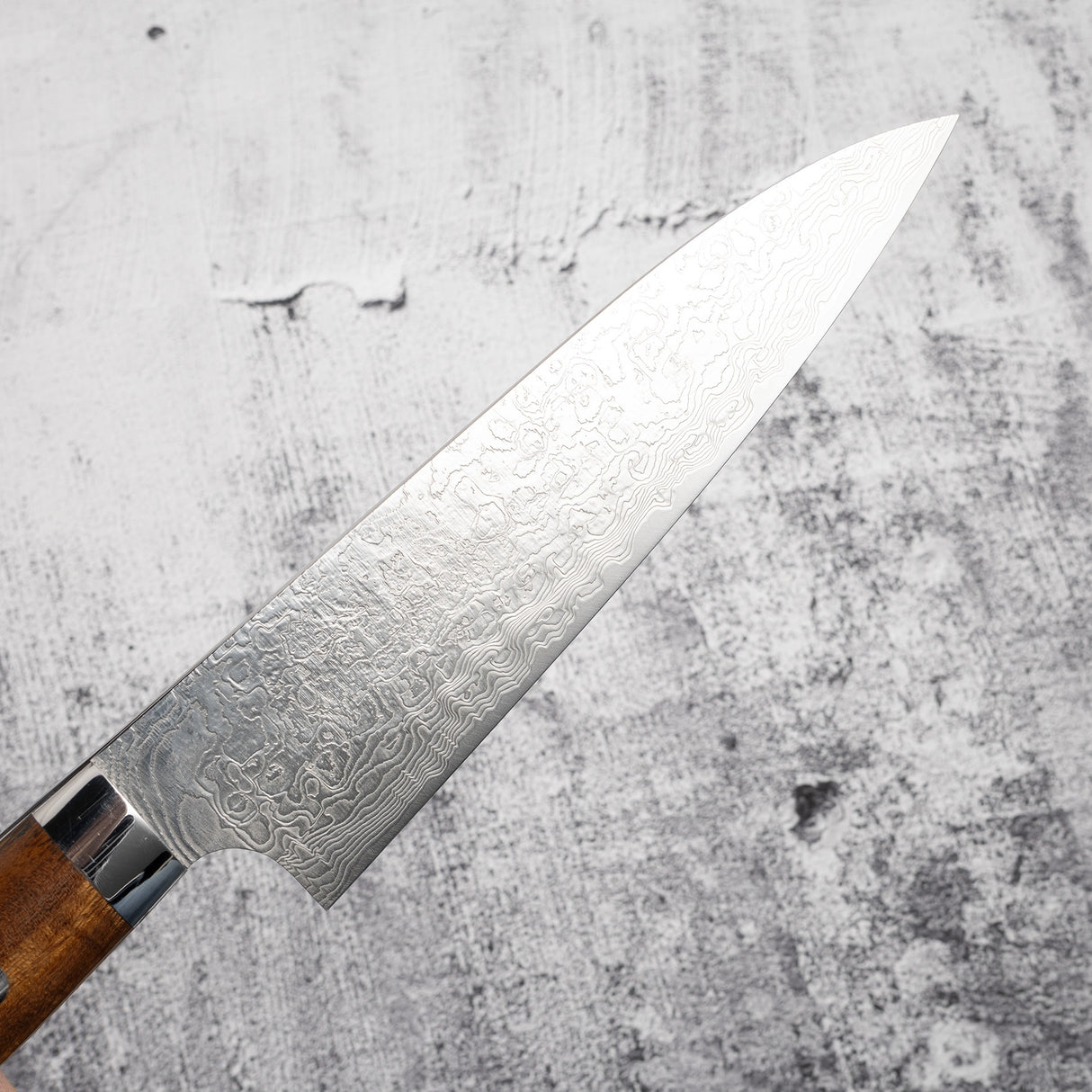 Takeshi Saji SG2 鑽石大馬士革牛刀 180 毫米鐵木手柄