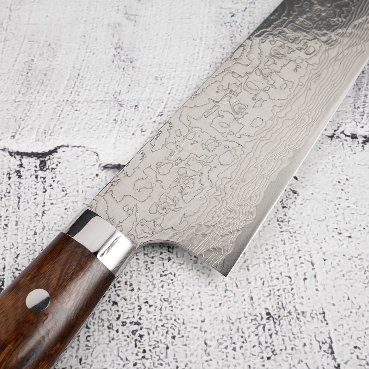 Takeshi Saji Diamond Damascus SG2 Gyuto 240mm Ironwood Handle