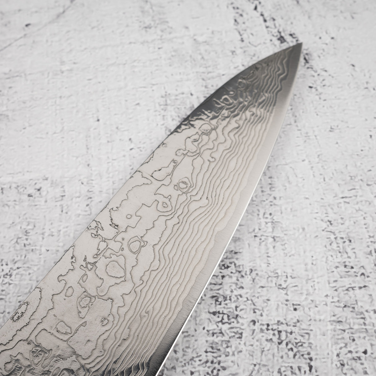 Takeshi Saji Diamond Damascus SG2 Gyuto 240mm Ironwood Handle