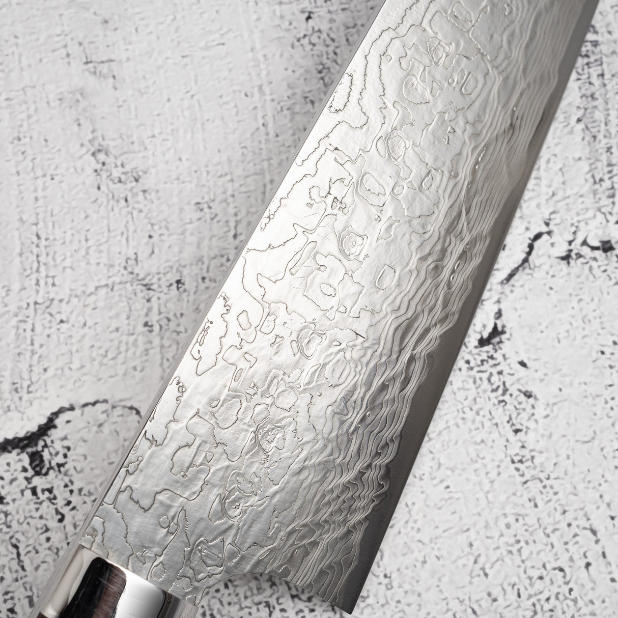 Takeshi Saji Diamond Damascus SG2 Gyuto 240mm Ironwood Handle