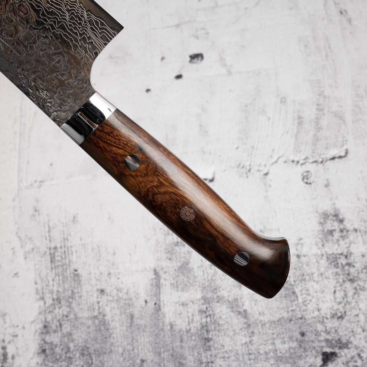 Takeshi Saji Diamond Damascus SG2 Gyuto 240mm Ironwood Handle