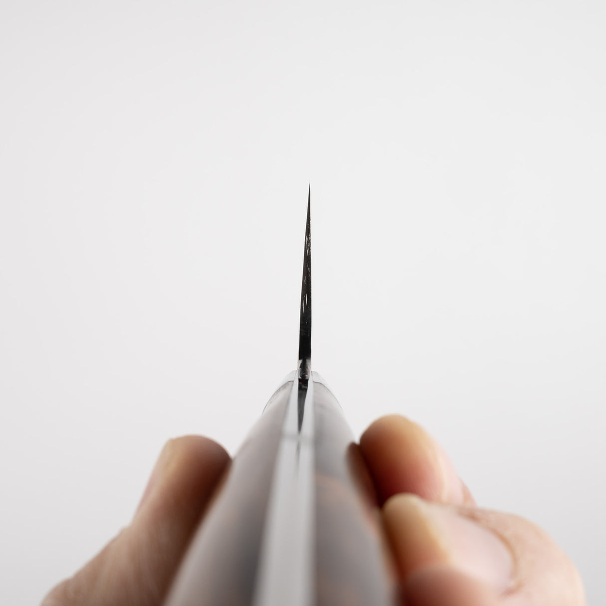 Takeshi Saji Diamond Damascus SG2 Gyuto 240mm Ironwood Handle