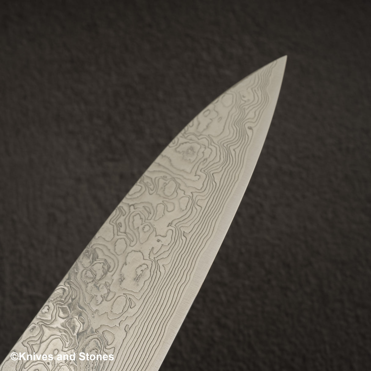 Takeshi Saji SG2 鑽石大馬士革牛刀 270 毫米鐵木