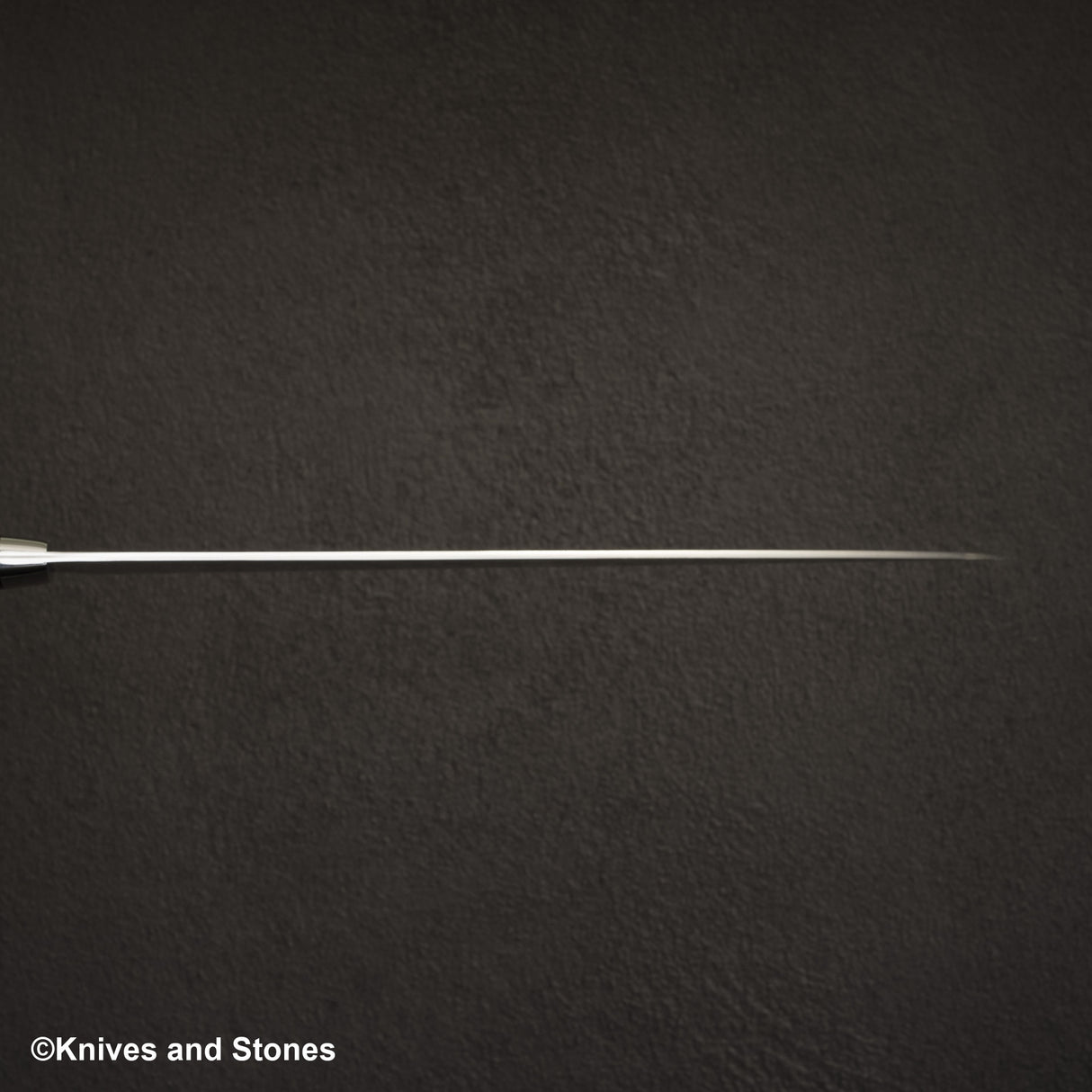 Takeshi Saji SG2 鑽石大馬士革牛刀 270 毫米鐵木