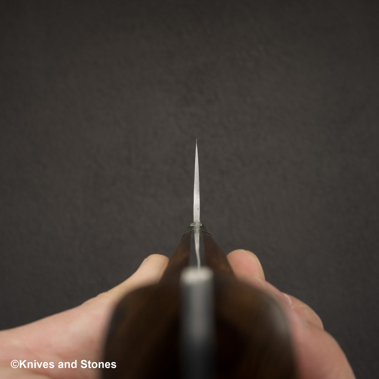 Takeshi Saji SG2 鑽石大馬士革牛刀 270 毫米鐵木