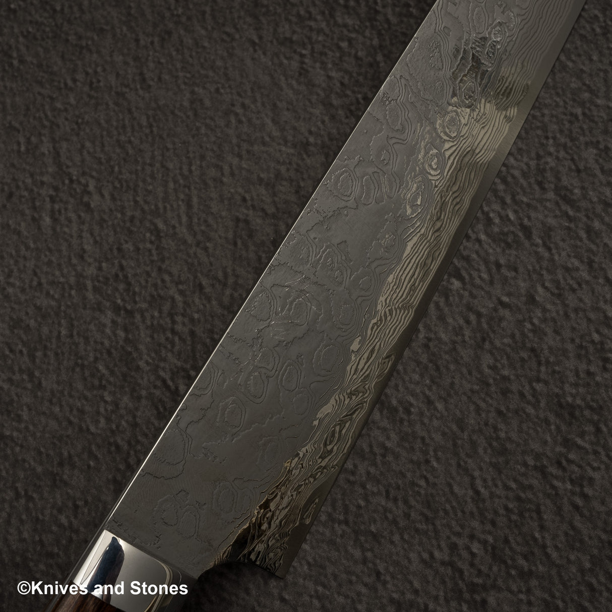 Takeshi Saji SG2 Diamond Damascus Sujihiki 270mm Ironwood