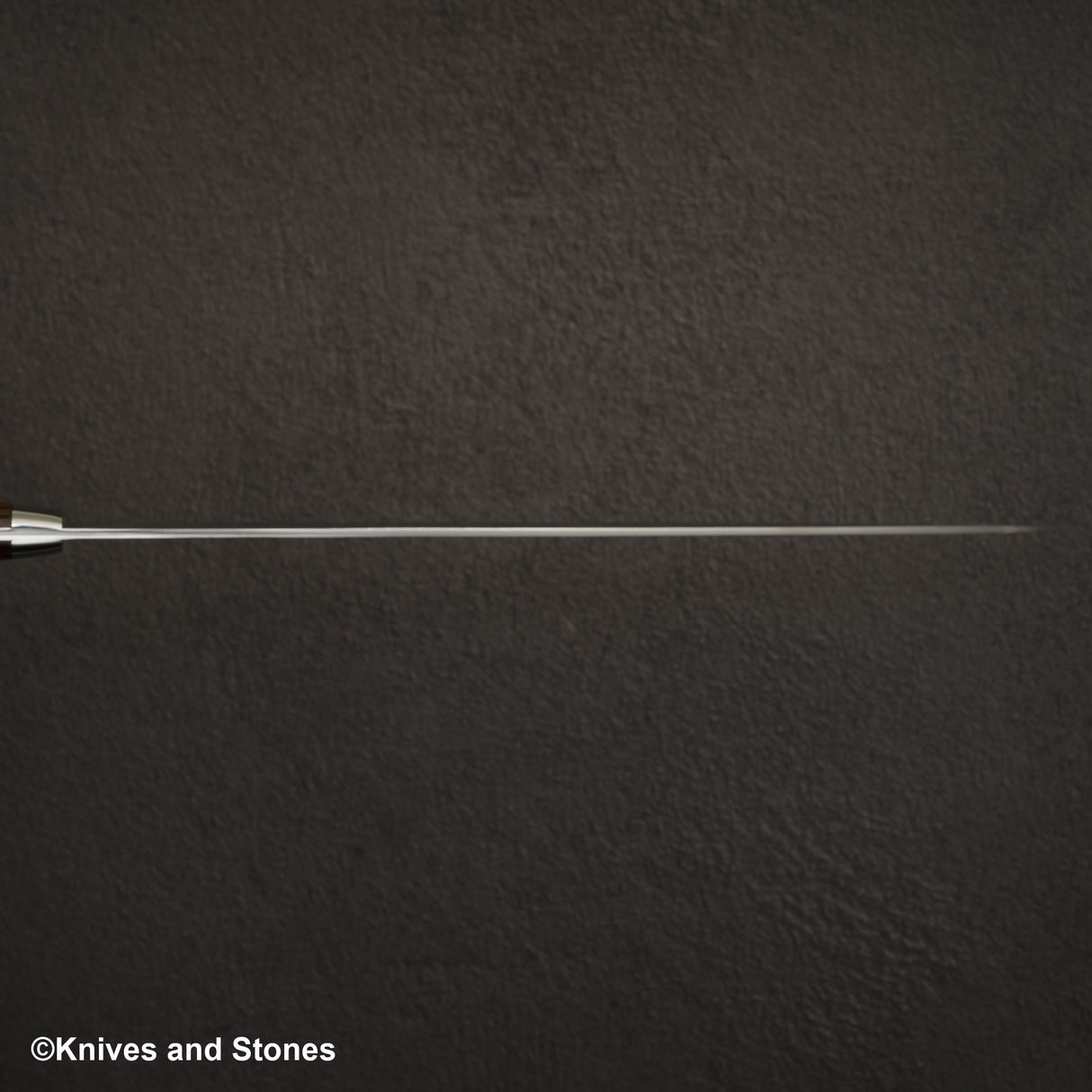 Takeshi Saji SG2 Diamond Damascus Sujihiki 270mm Ironwood