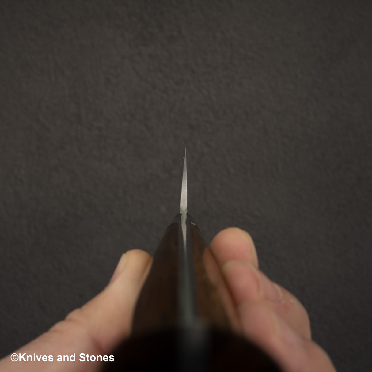 Takeshi Saji SG2 Diamond Damascus Sujihiki 270mm Ironwood