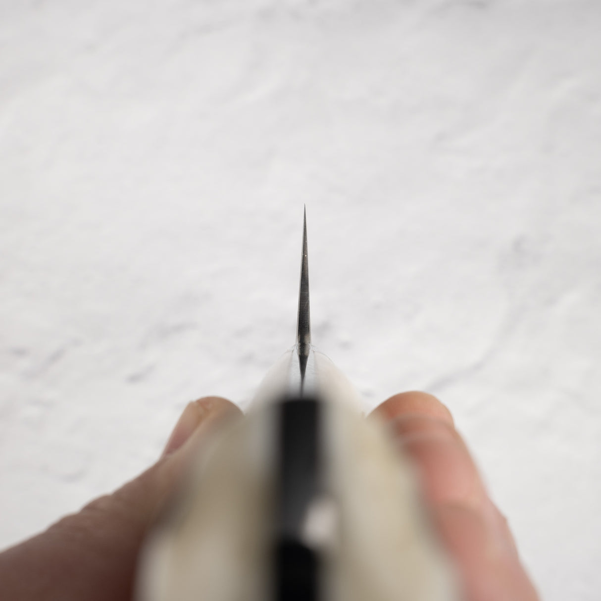 Saji 黑色大馬士革牛刀 210 mm SG2 鹿角柄