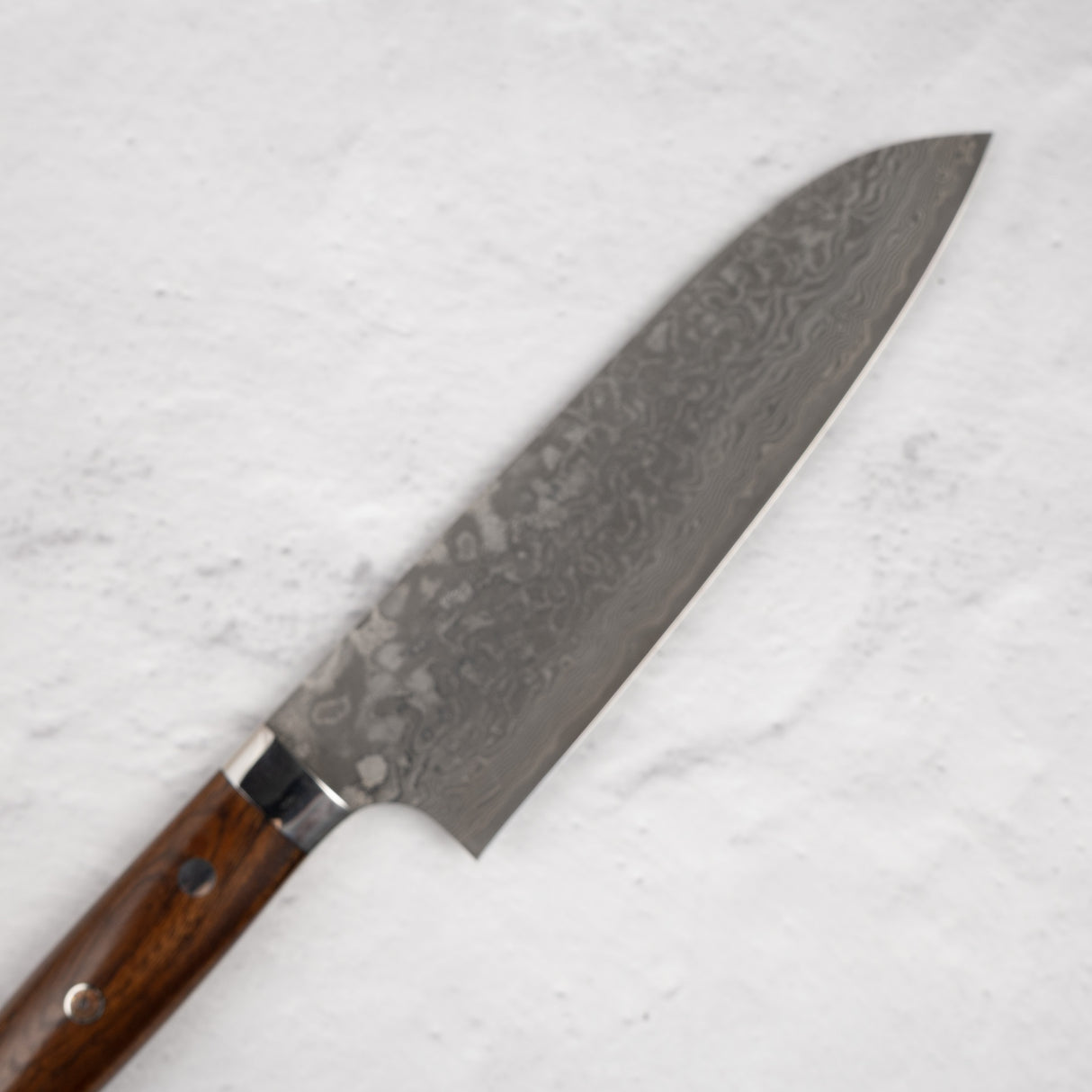 Takeshi Saji 黑色大馬士革三德 180 毫米 SG2 鐵木