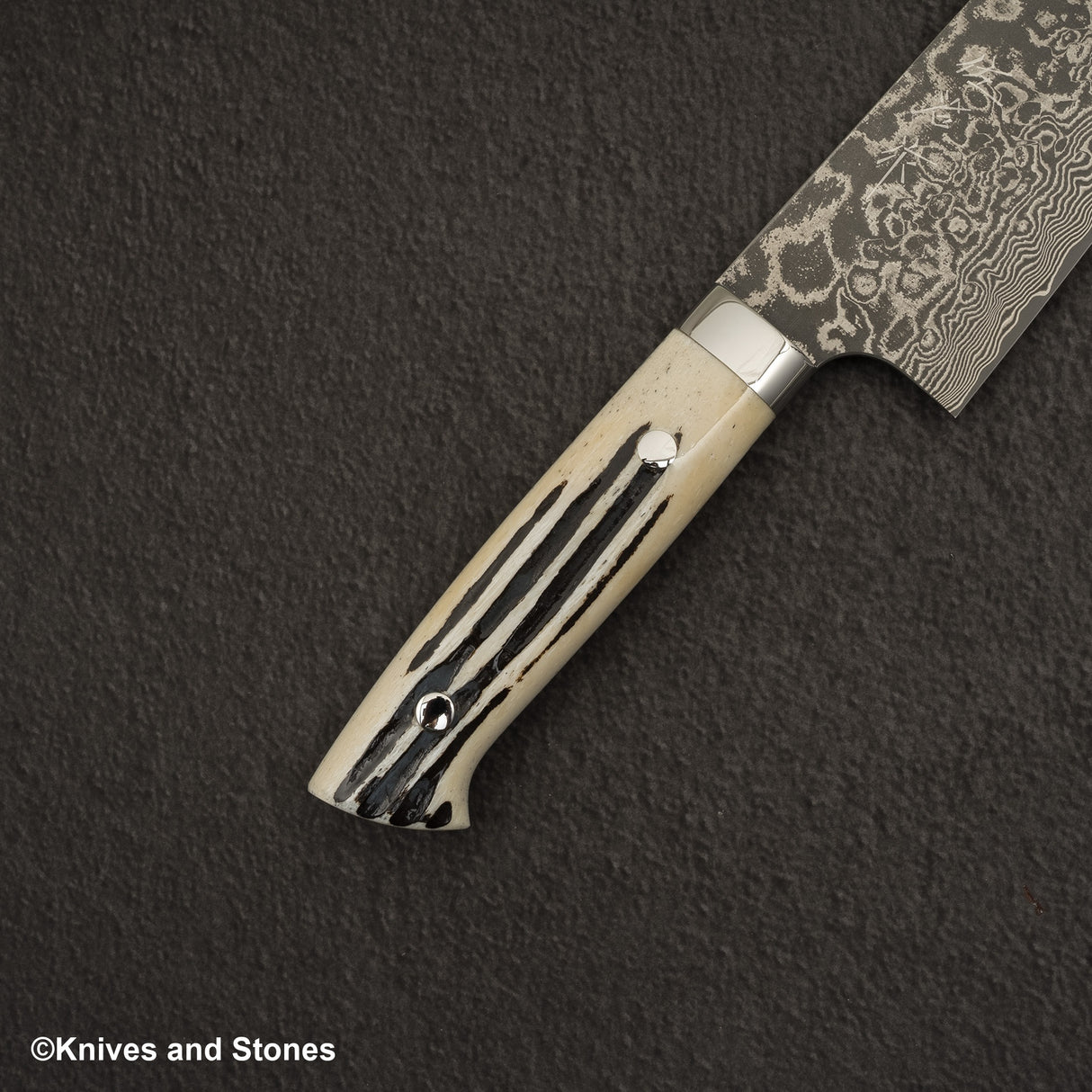 Takeshi Saji SG2 Black Damascus Bunka 180mm Stag Handle