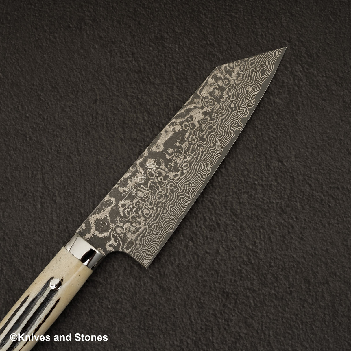 Takeshi Saji SG2 Black Damascus Bunka 180mm Stag Handle