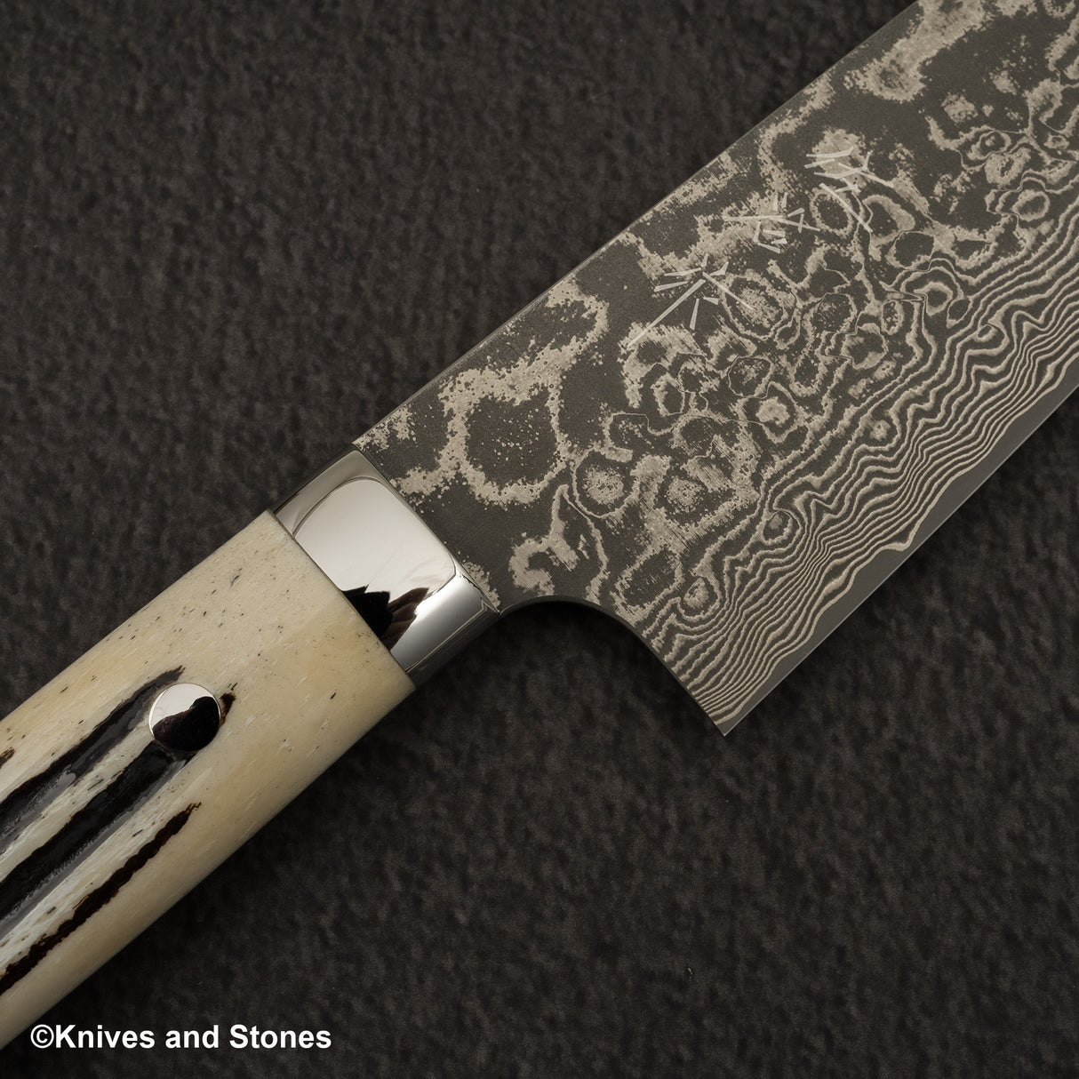 Takeshi Saji SG2 Black Damascus Bunka 180mm Stag Handle