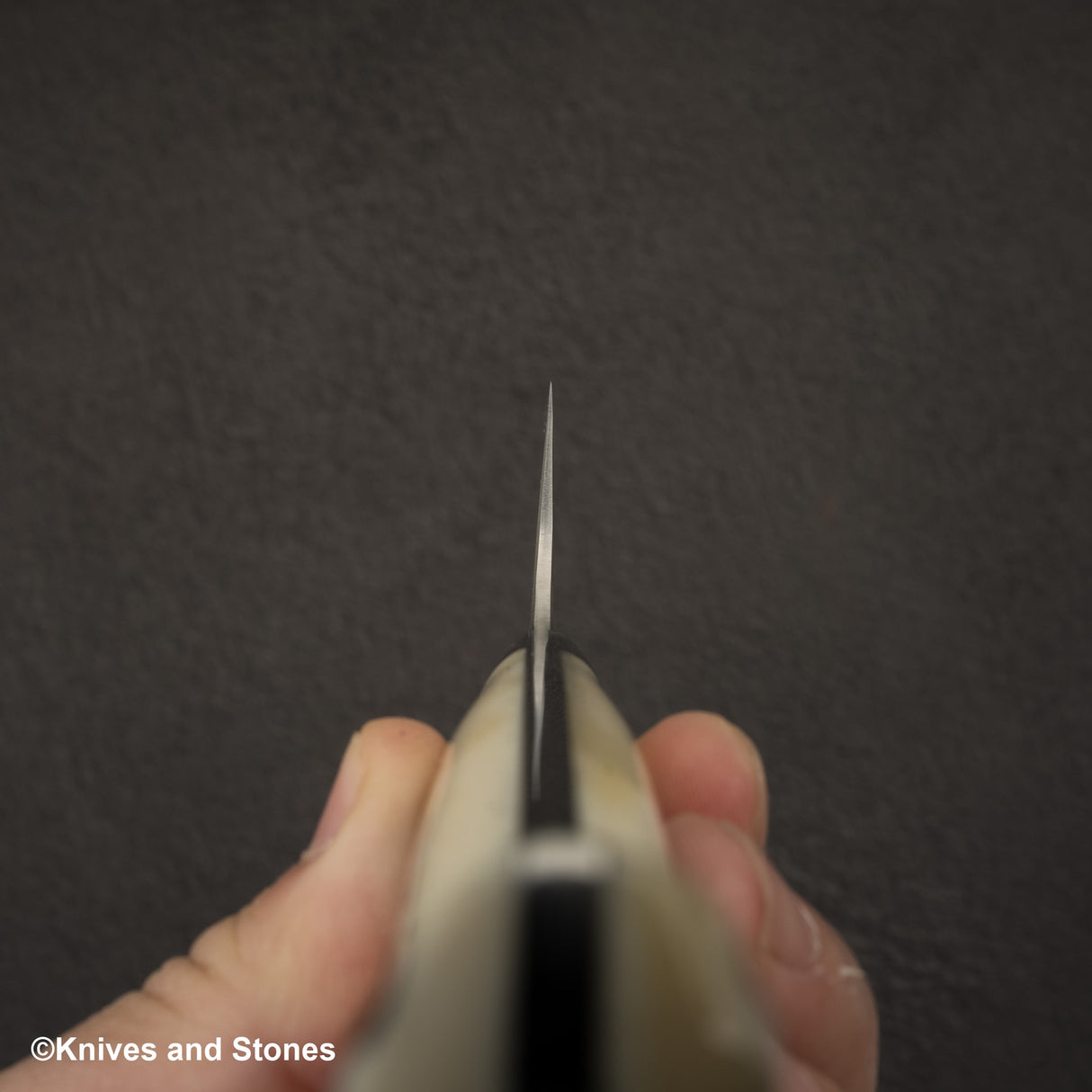 Takeshi Saji SG2 Black Damascus Bunka 180mm Stag Handle