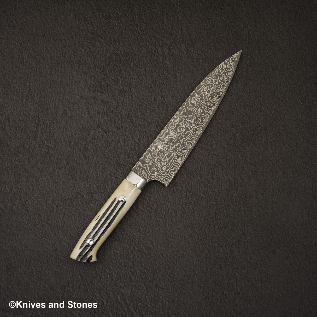 Takeshi Saji SG2 黑色大馬士革牛刀 180 毫米鹿角柄