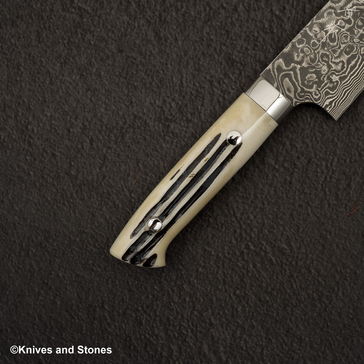 Takeshi Saji SG2 黑色大馬士革牛刀 180 毫米鹿角柄