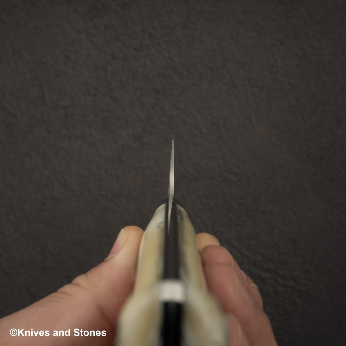 Takeshi Saji SG2 黑色大馬士革牛刀 180 毫米鹿角柄