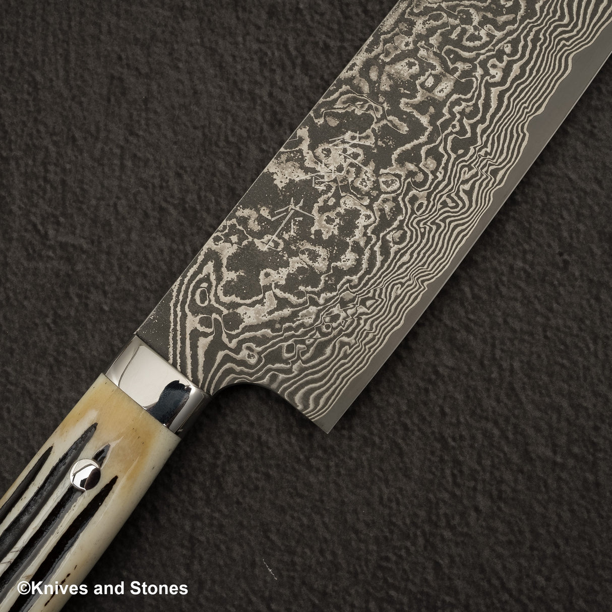 Takeshi Saji SG2 Black Damascus Nakiri 175mm Stag Handle
