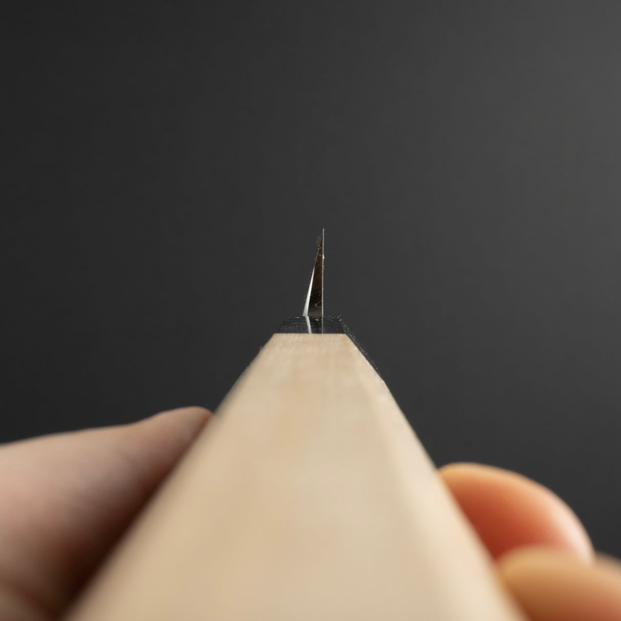 堺孝行銀三柳刃270mm