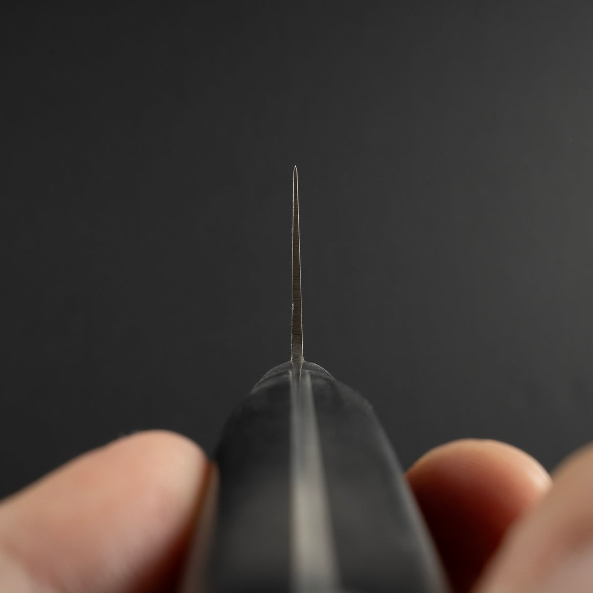 Sakai Takayuki INOX Stainless Gyuto 210mm with Western Handle