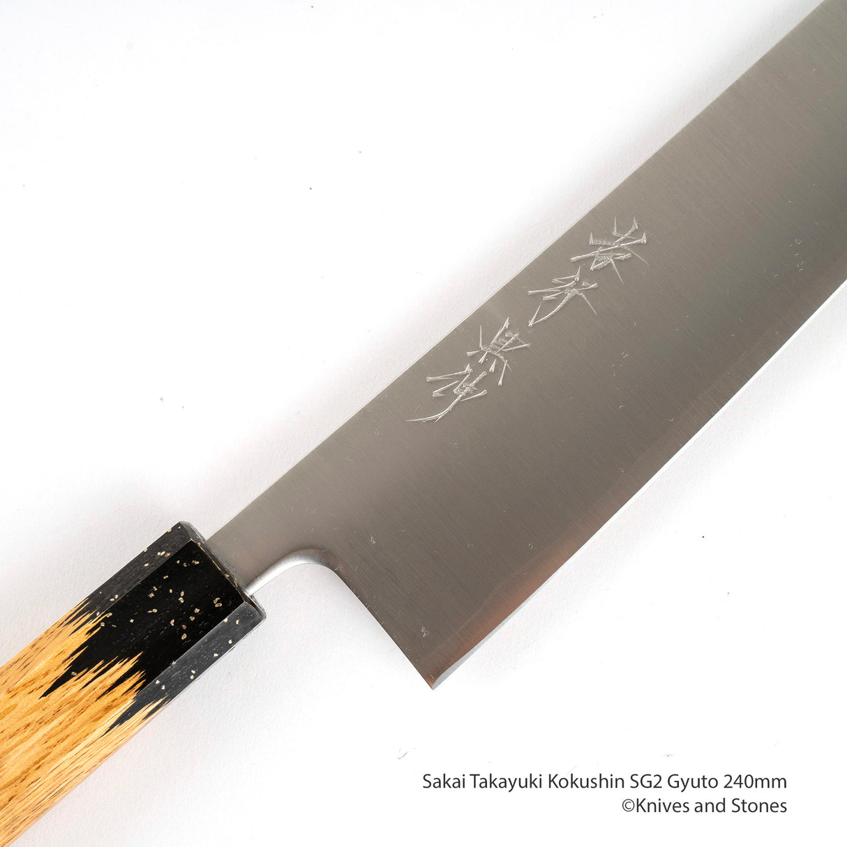 堺貴之 國信 SG2 Gyuto 240mm
