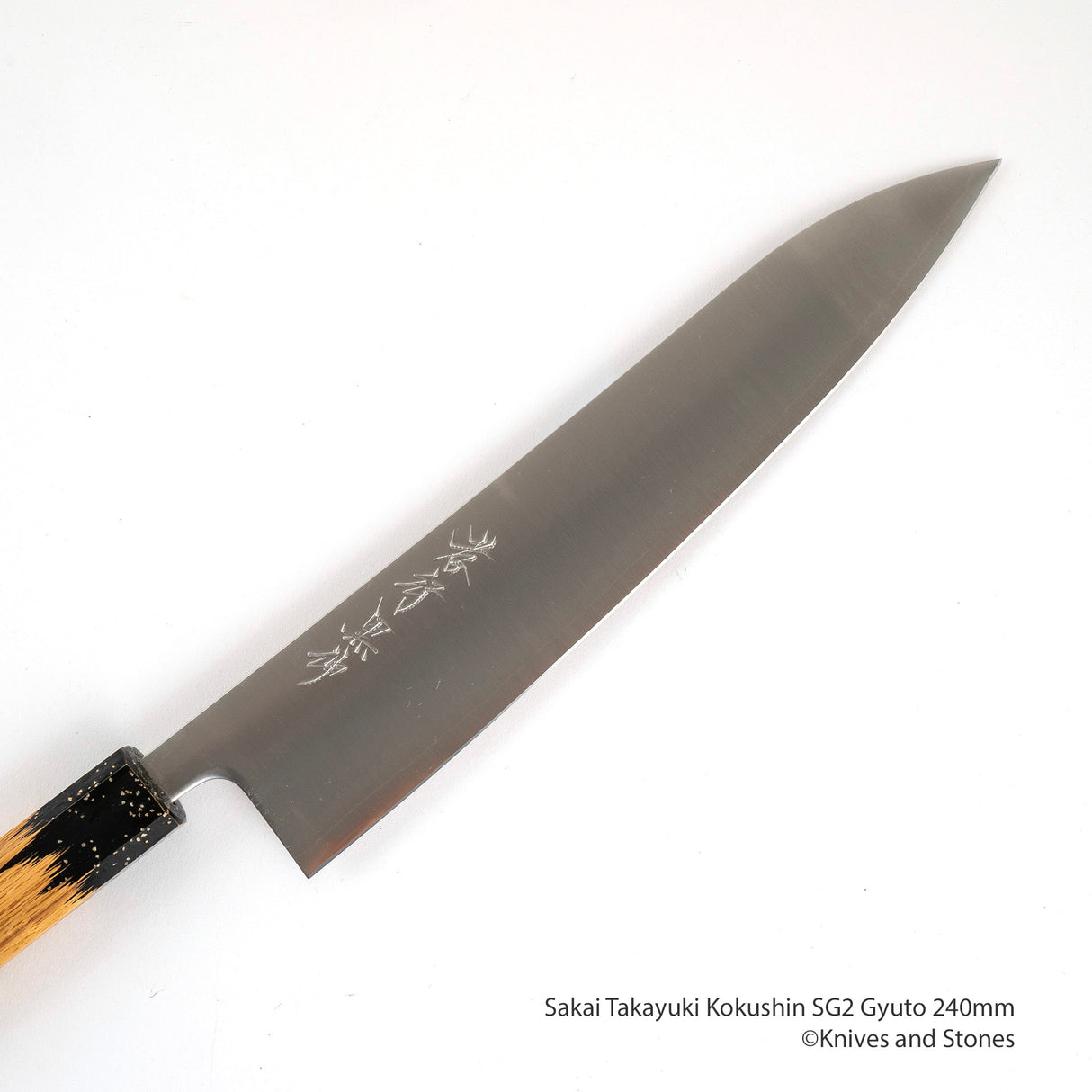 堺貴之 國信 SG2 Gyuto 240mm