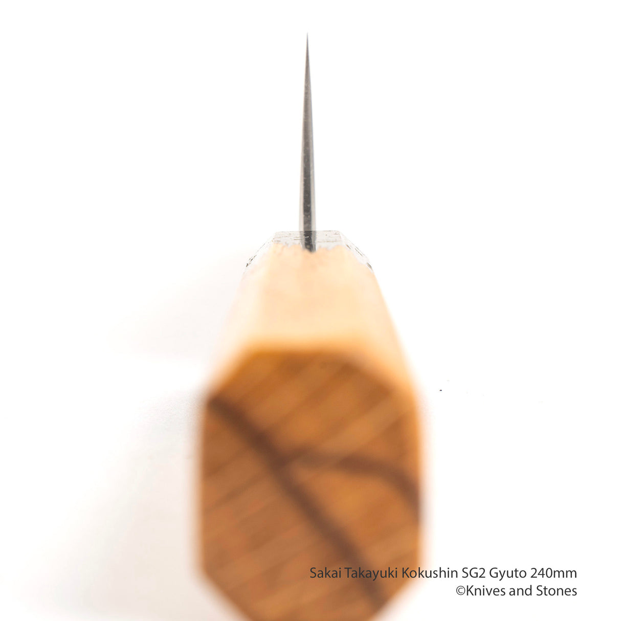 堺貴之 國信 SG2 Gyuto 240mm