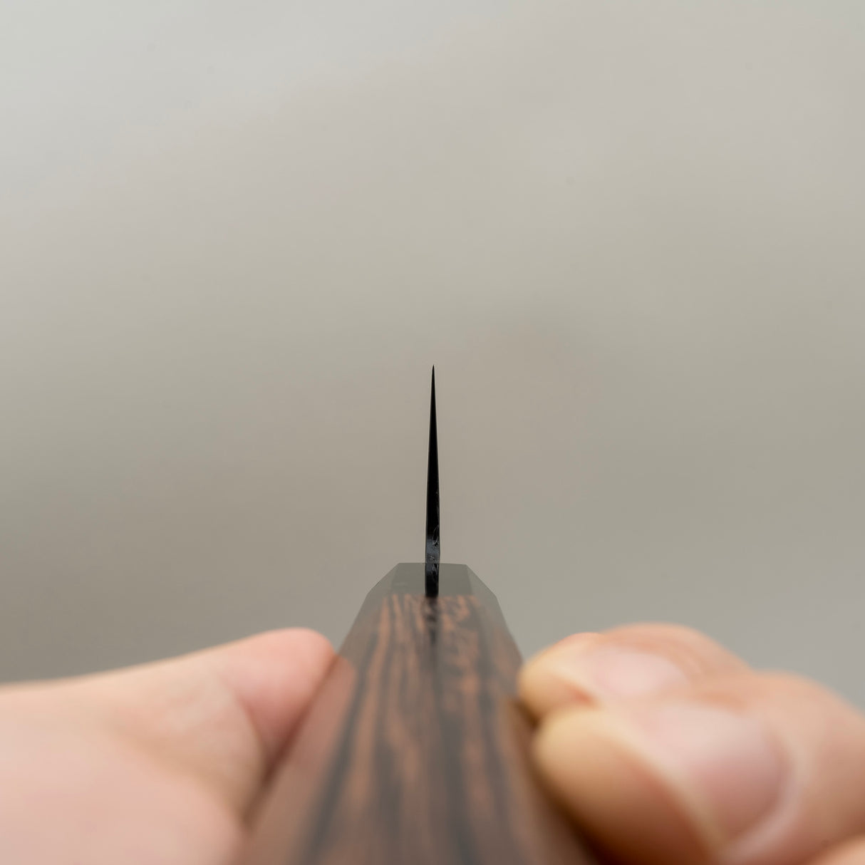 堺貴之 黑影 VG10 三德 170mm