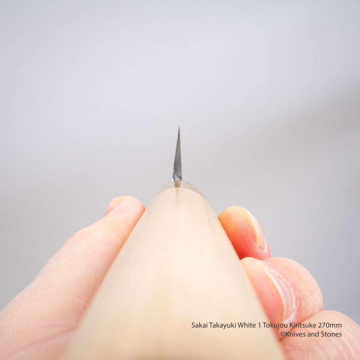 Sakai Takayuki Tokujou Kiritsuke 270mm 白 2 碳鋼