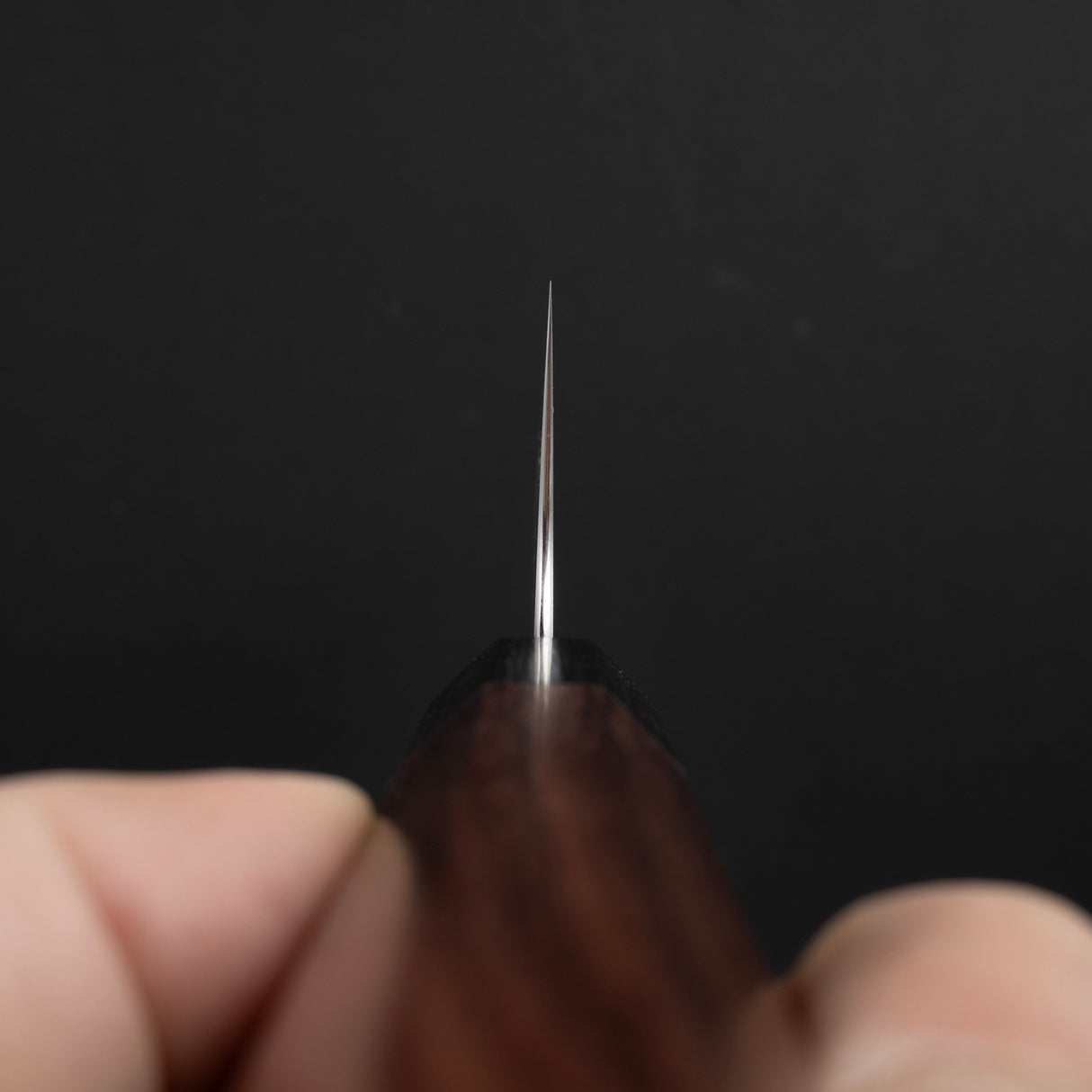 Shibata Koutetsu SG2 Battship K-tip Gyuto 195mm