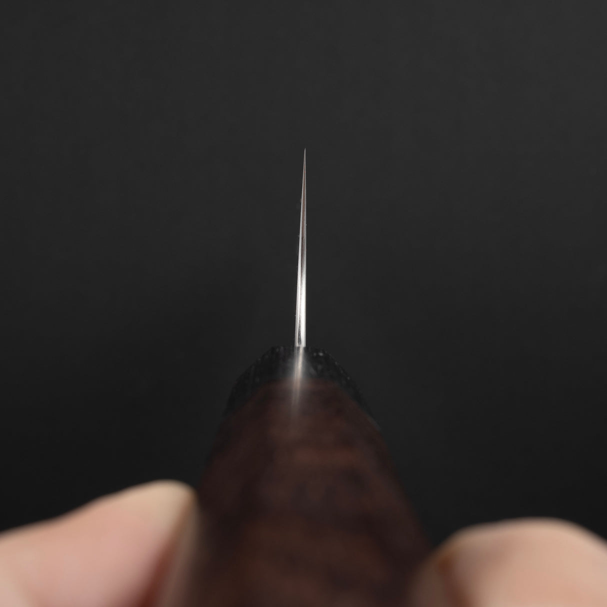 柴田鋼 SG2 K-tip Gyuto 210mm