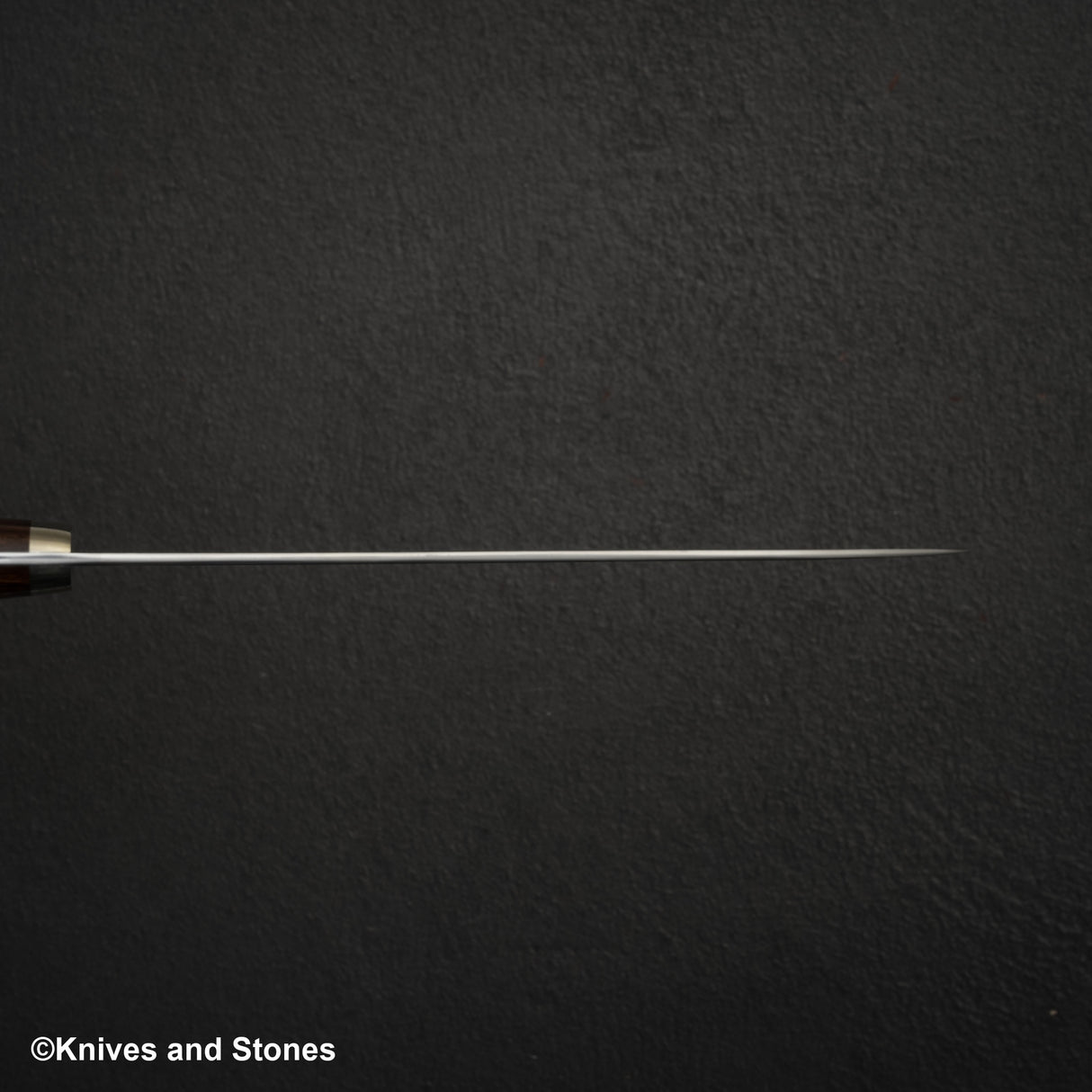 Shigeki Tanaka SG2 Gyuto 210mm 鐵木西式刀柄