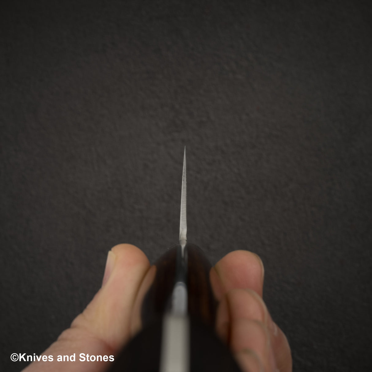 Shigeki Tanaka SG2 Gyuto 210mm 鐵木西式刀柄