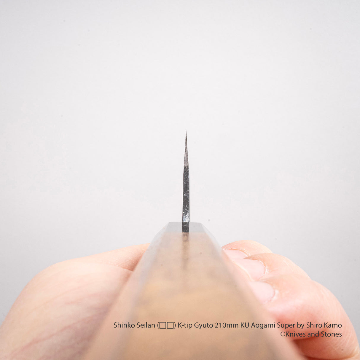 Shinko Seilan (青嵐) K-tip Gyuto 210mm KU Aogami Super by Shiro Kamo