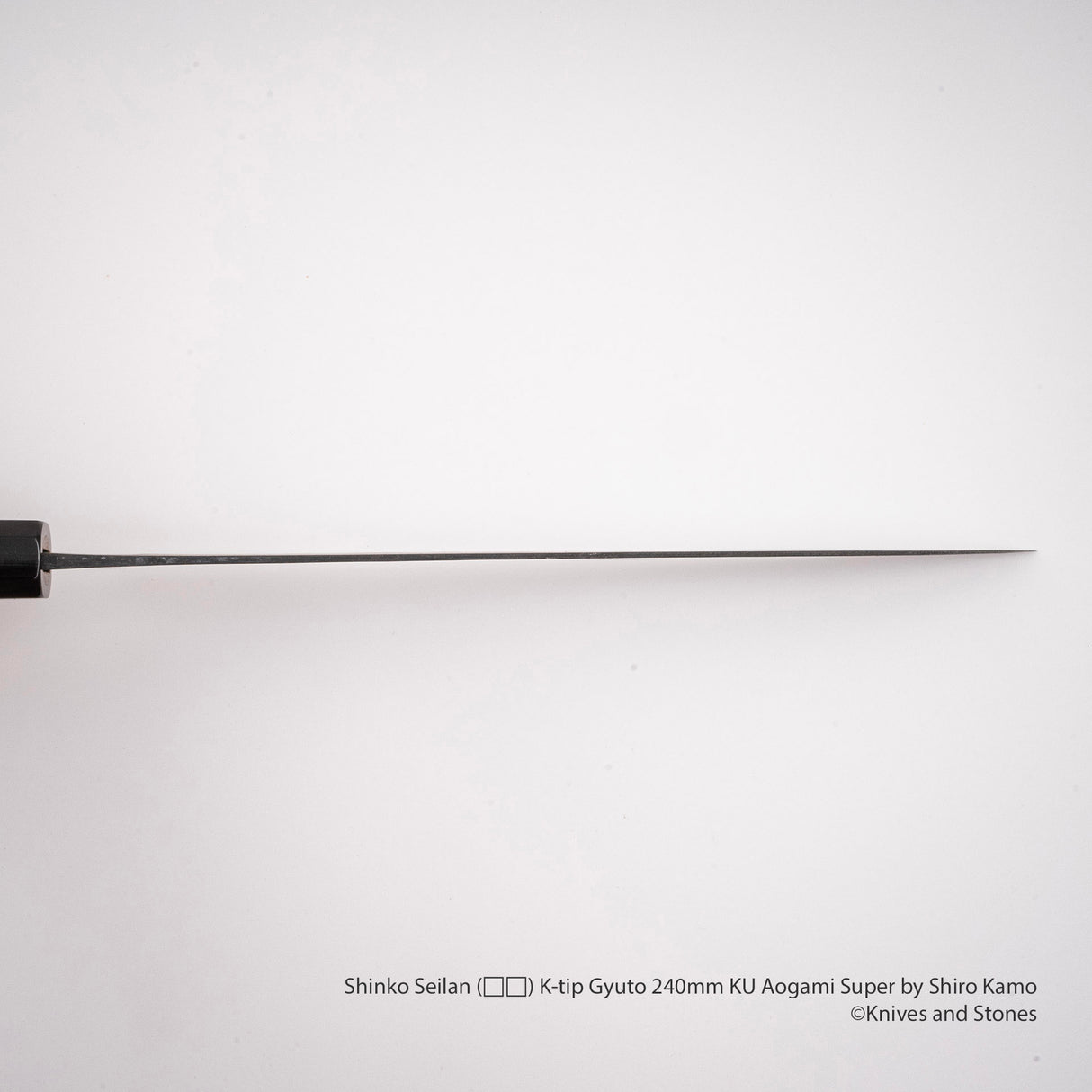 Shinko Seilan (青嵐) K-tip Gyuto 240mm KU Aogami Super by Shiro Kamo