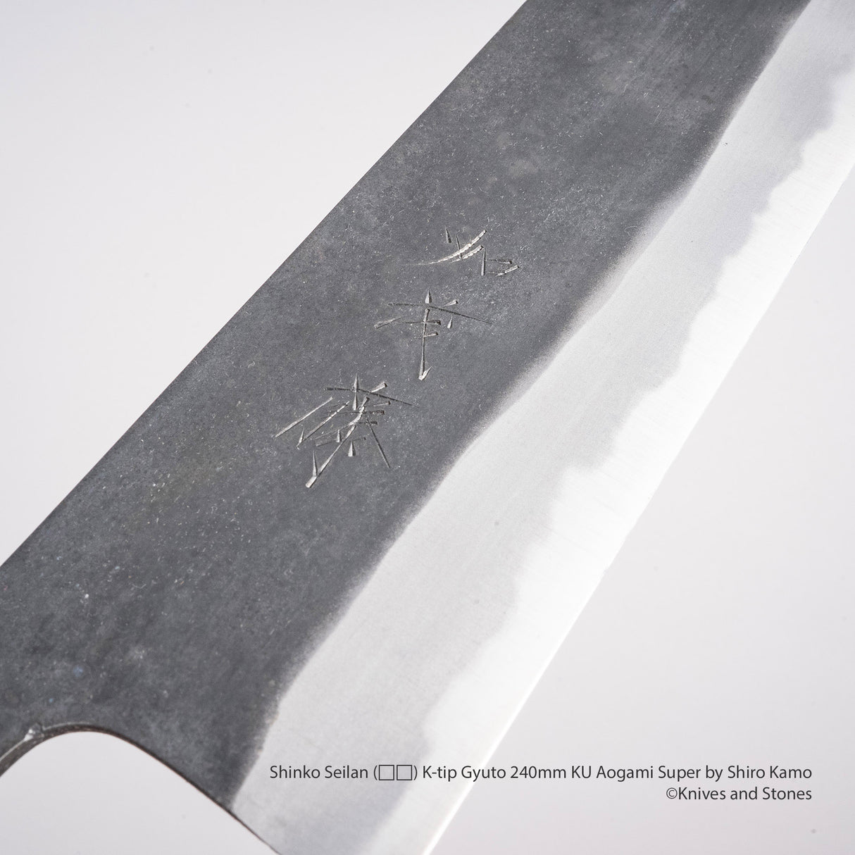 Shinko Seilan (青嵐) K-tip Gyuto 240mm KU Aogami Super by Shiro Kamo