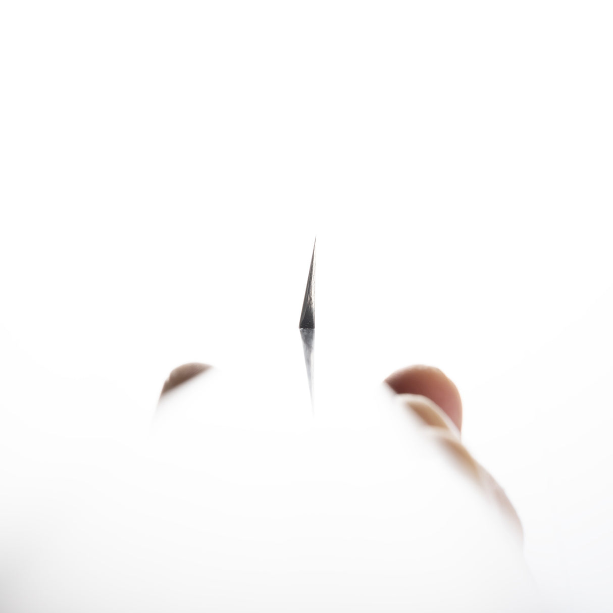 初心 FAXR2 粉末鋼 柳刃 330mm 鏡面拋光 烏木柄