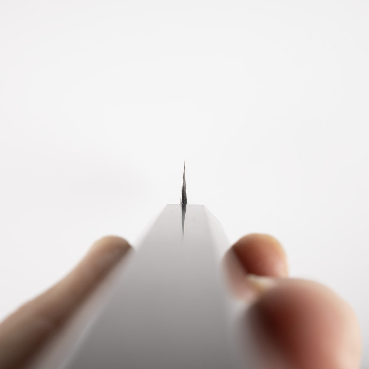 Sukenari SG2 Ni-mai(二層)Sakimaru Takobiki 270mm 鏡面拋光