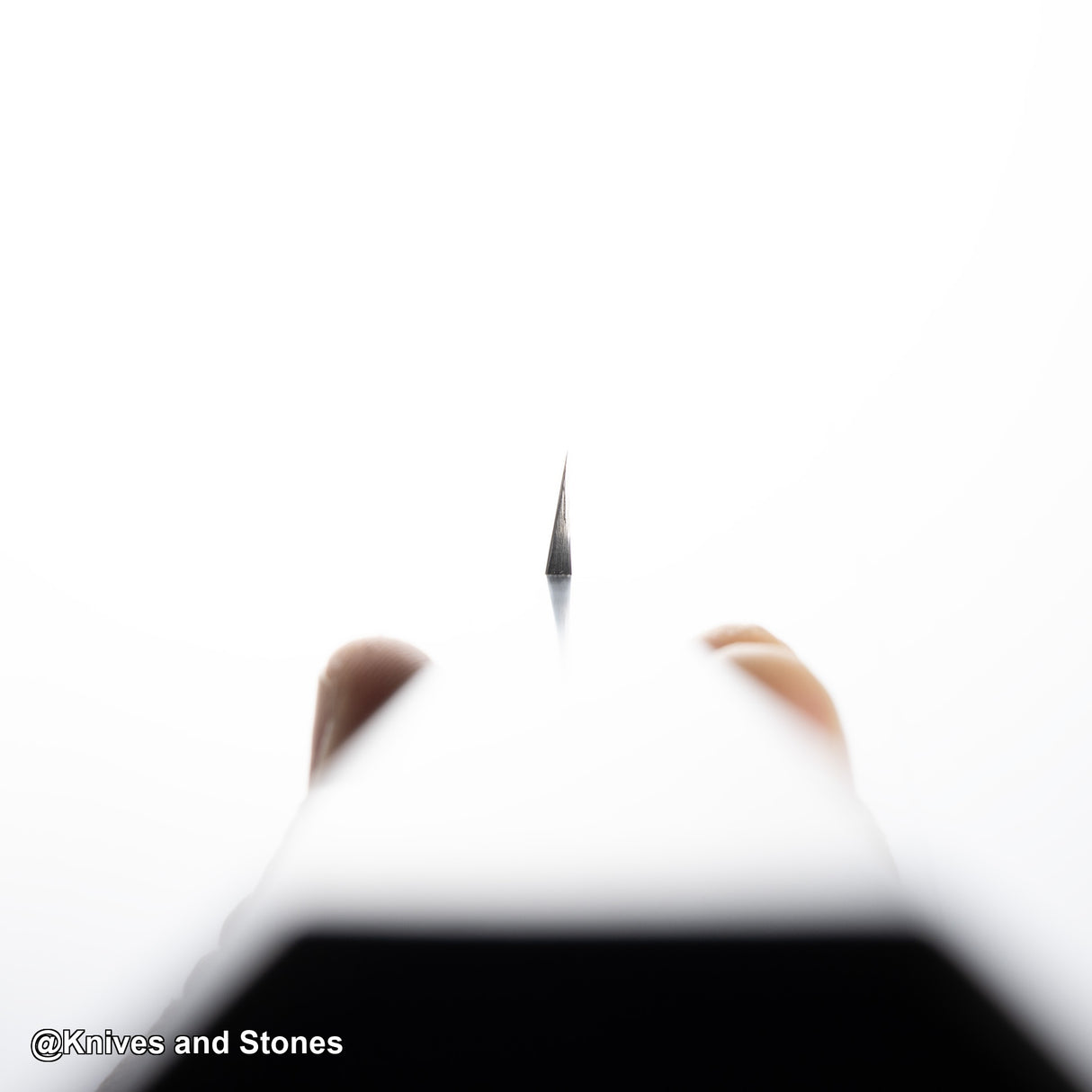 Sukenari SG2 柳刃 270mm 鏡面拋光附鞘 二枚(2層)