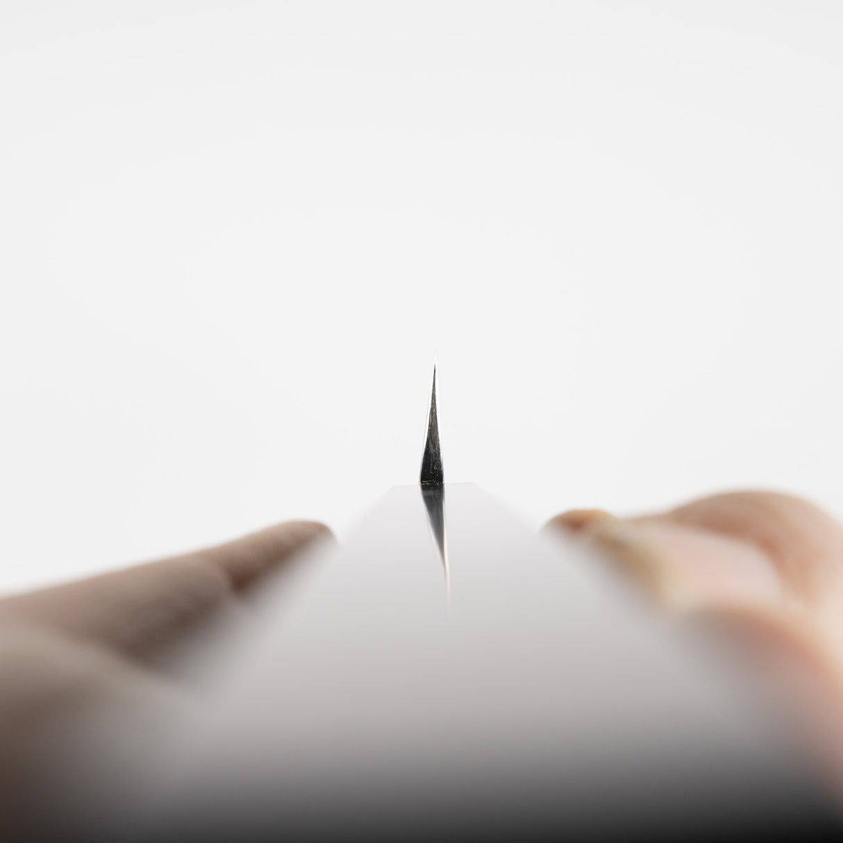 Sukenari SG2 Ni-mai (2 層) Yanagiba 300mm 鏡面拋光