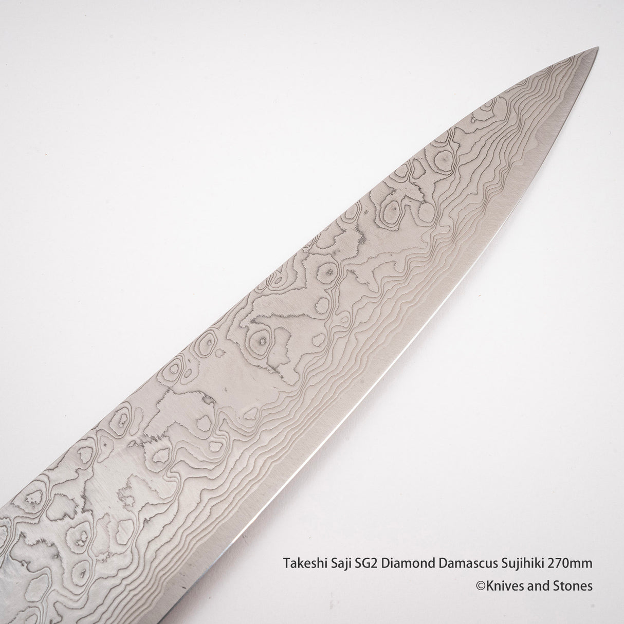 Takeshi Saji SG2 鑽石大馬士革 Sujihiki 270mm