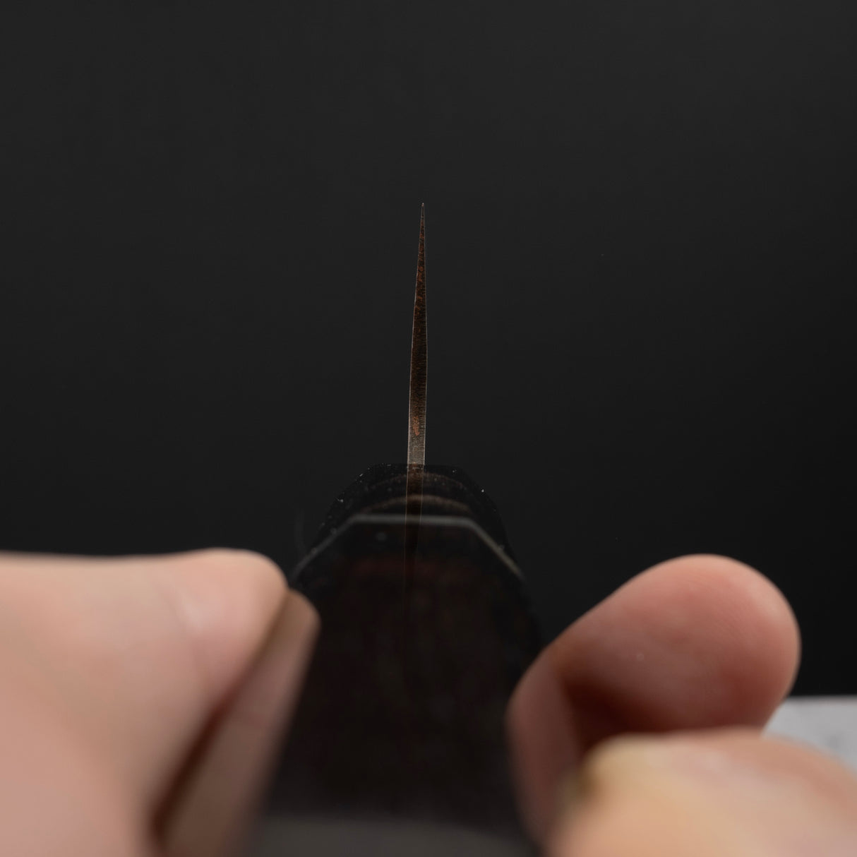 Takeshi Saji VG10 Golden Damascus Gyuto 210mm