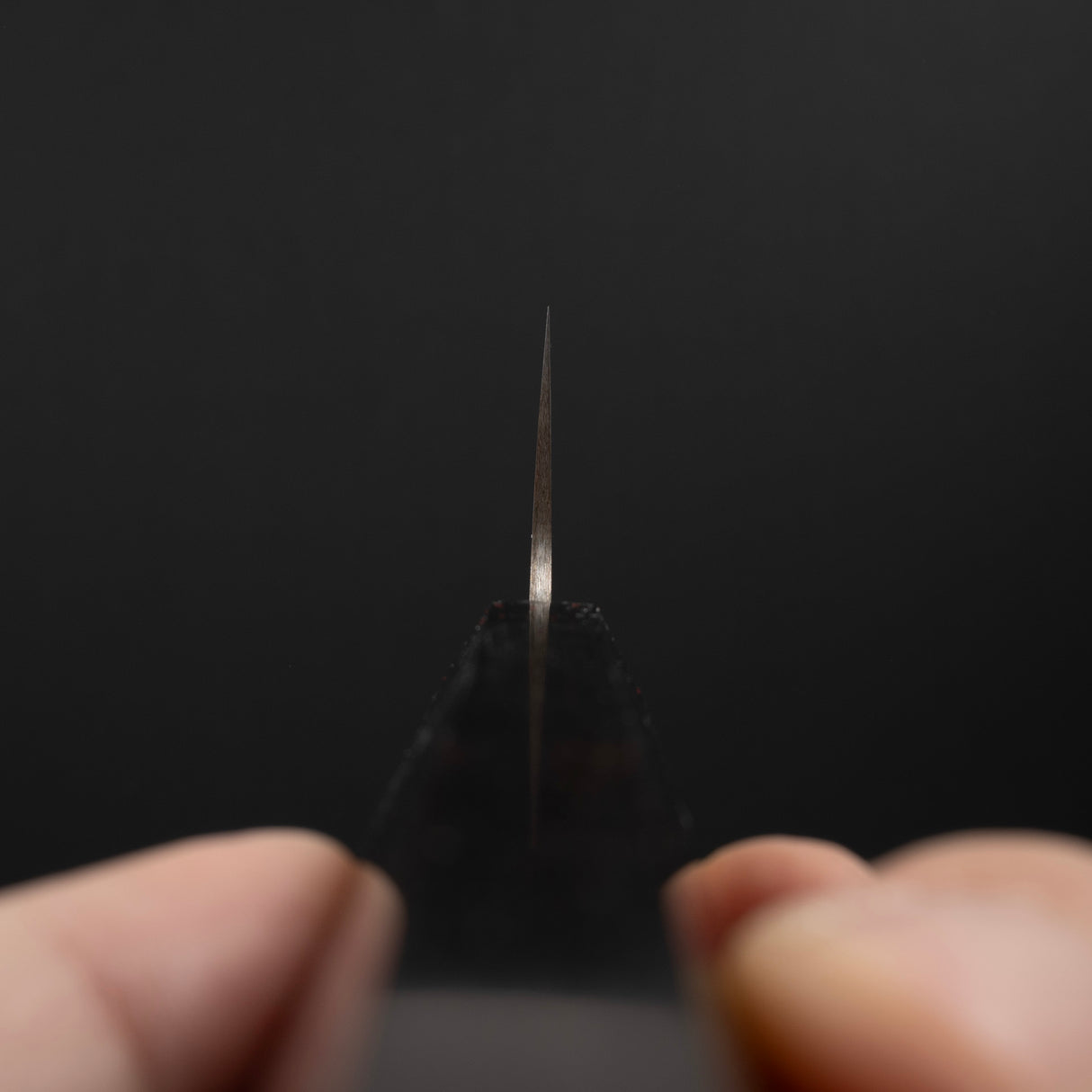 Takeshi Saji VG10 Rainbow Damascus Gyuto 180mm Ebony Handle Mosaic Pin