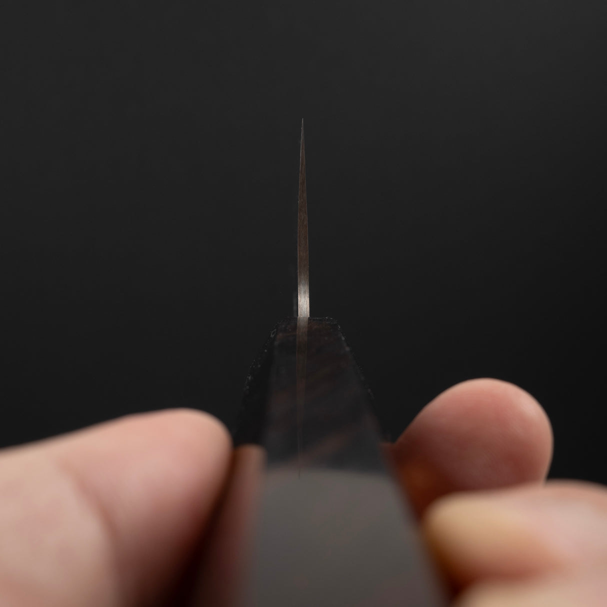 Takeshi Saji VG10 Rainbow Damascus Gyuto 240mm