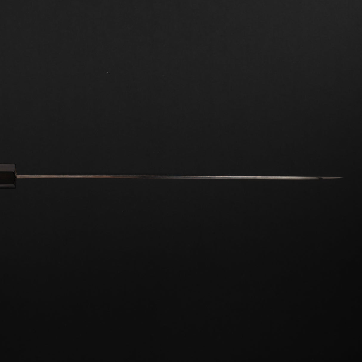 Takeshi Saji VG10 Rainbow Damascus Gyuto 240mm