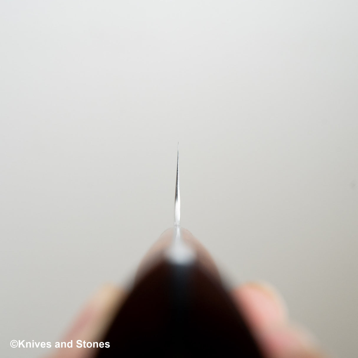 Takeshi Saji SRS13 Nakiri 165mm Western Amboyna Handle