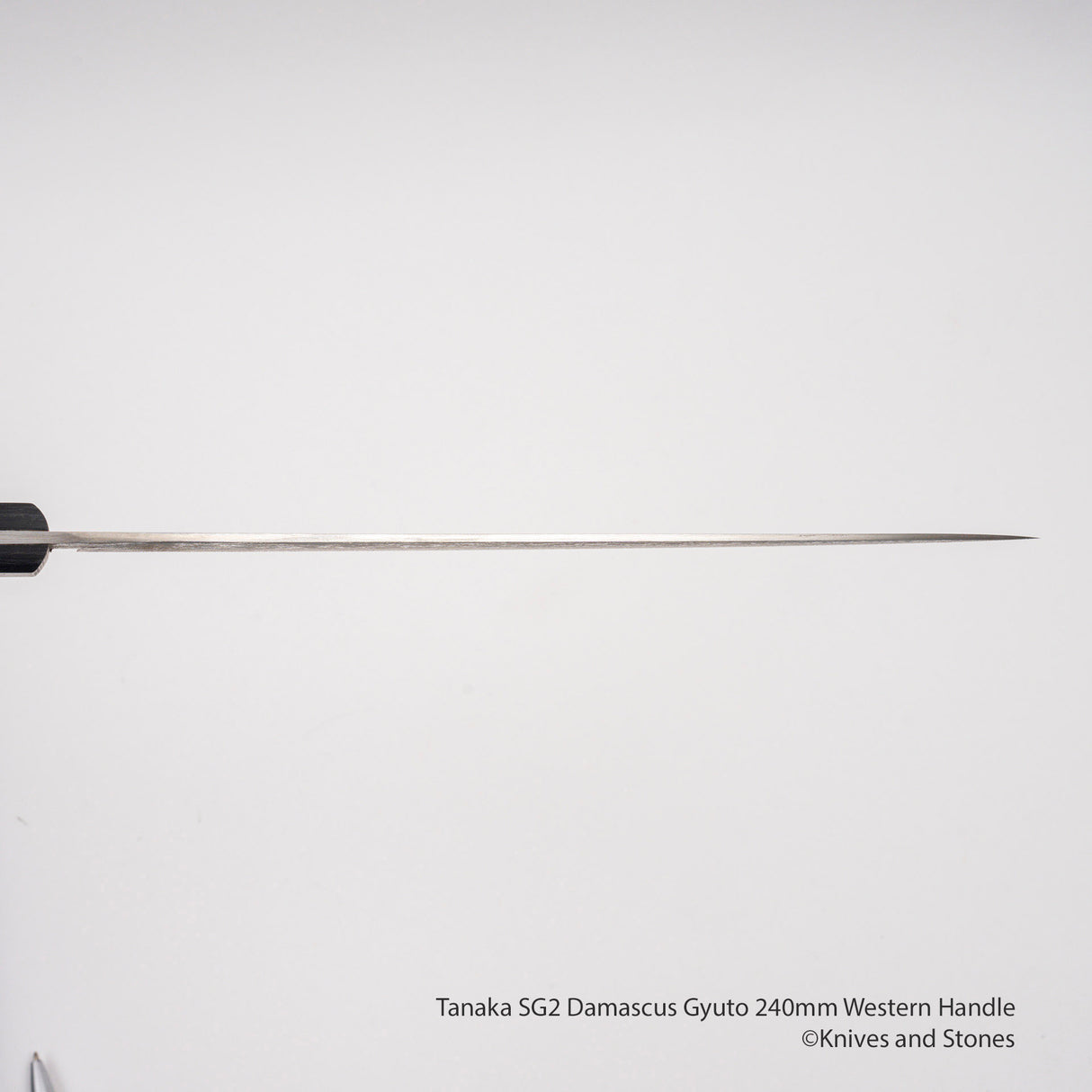 Tanaka SG2 大馬士革牛刀 240 毫米西式刀柄