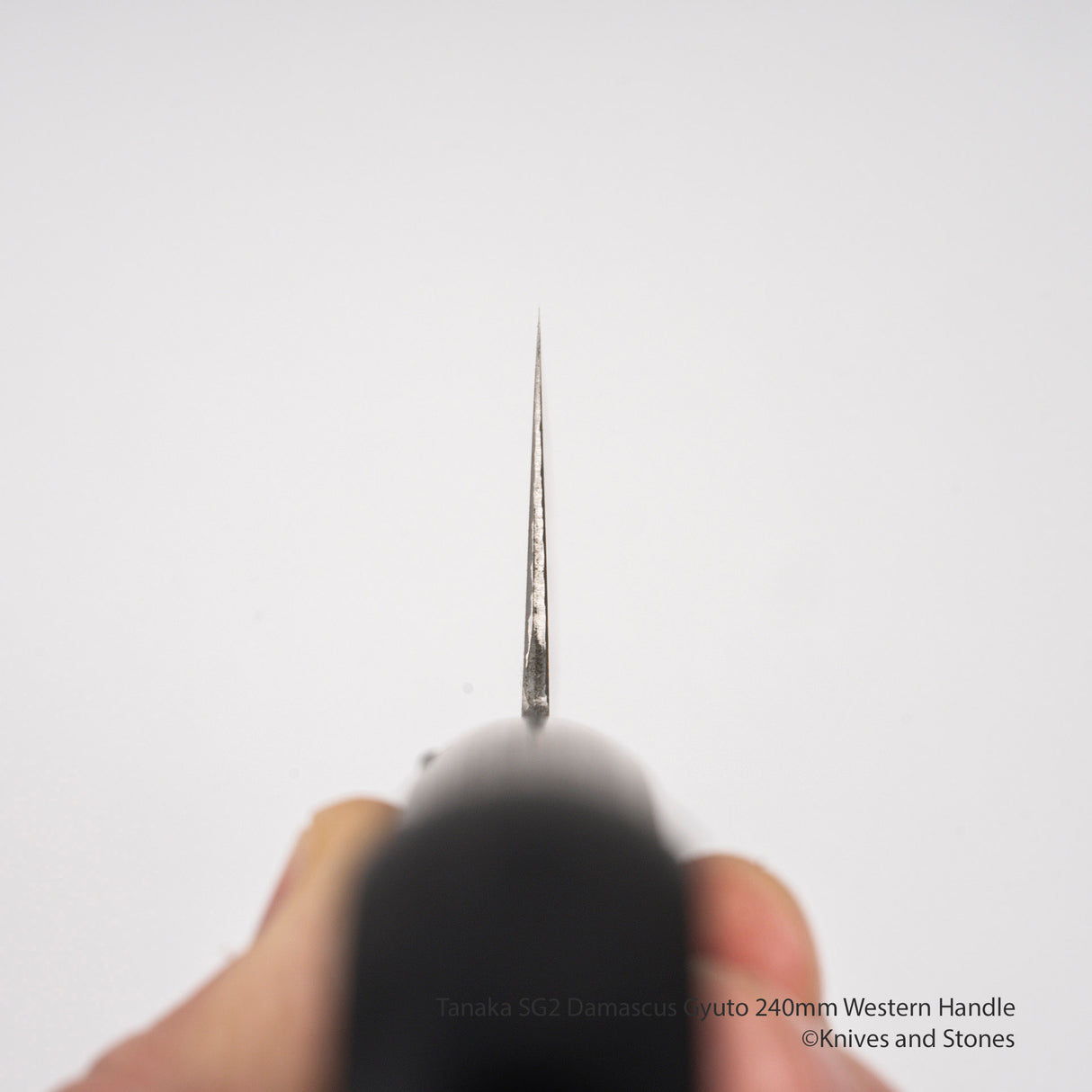 Tanaka SG2 大馬士革牛刀 240 毫米西式刀柄