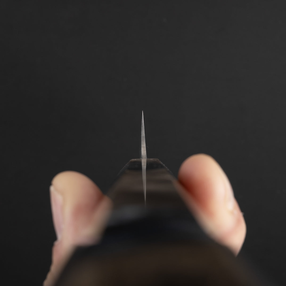 田中羽切 SG2 大馬士革筋引 210mm